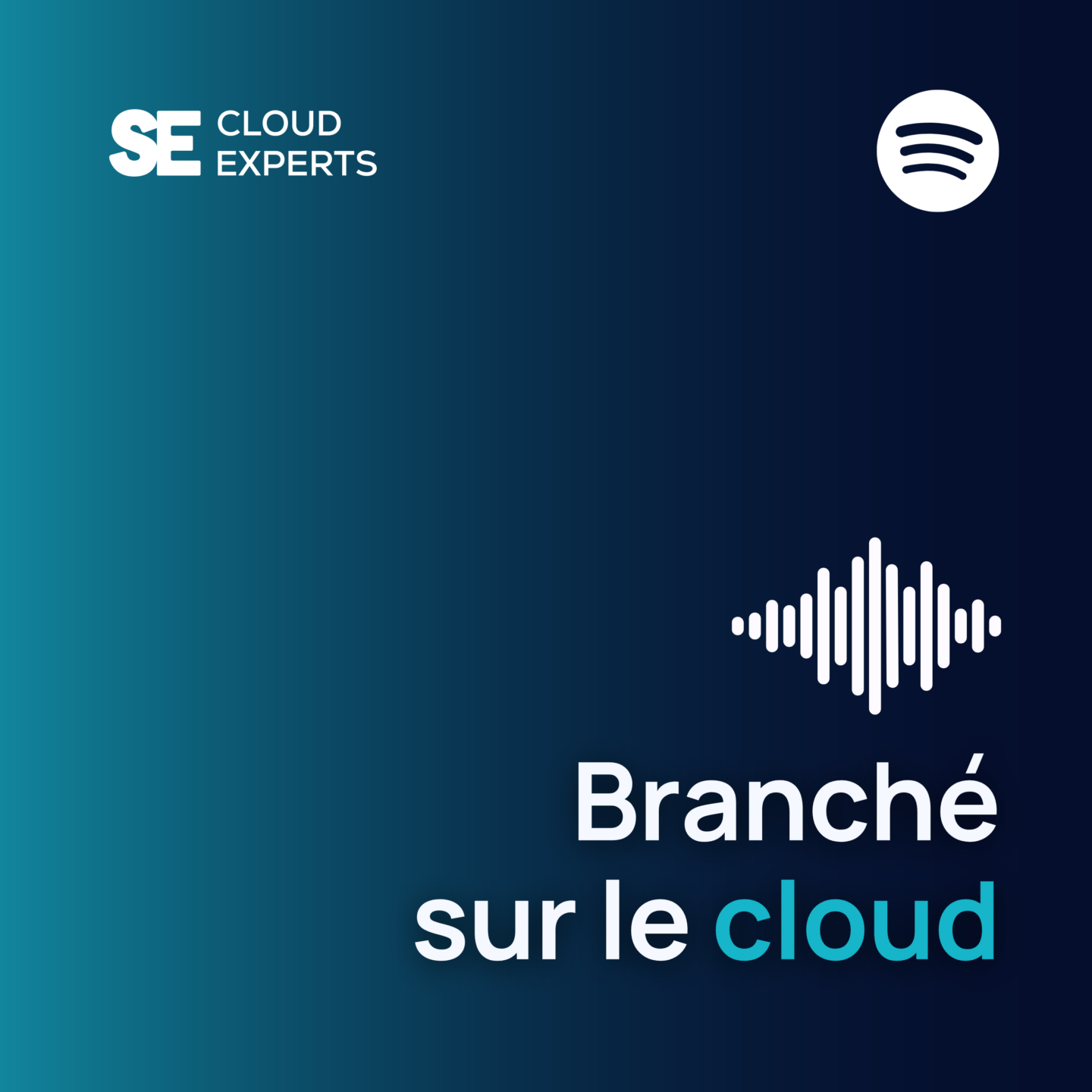 Micro-podcast: Branché sur le cloud | SE Cloud Experts